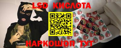 спайс Кинель